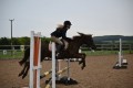 Show Jumping Clinic with Shauna Davis 