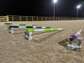 Evening Pole Work and Cavaletti with Tracey Fox