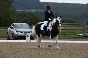 Dressage Competition