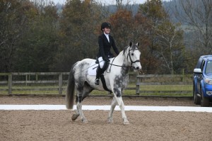 Dressage Competition