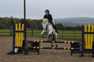 Show Jumping Competition