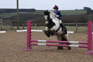 Prix Caprilli Clinic