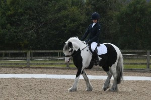 Dressage Competition