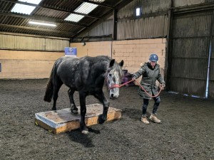 Spook Busting Clinic with Equiscense 