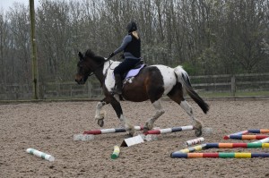 Ashley Suddes Pole Work and Cavaletti