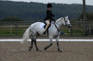 Dressage Competition