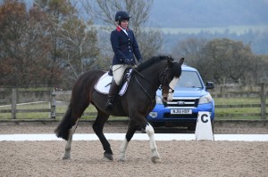 Dressage Competition
