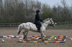 Ashley Suddes Pole Work and Cavaletti