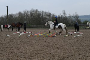 Ashley Suddes Pole Work and Cavaletti