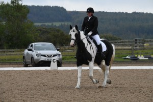 Dressage Competition