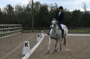 Dressage Competition