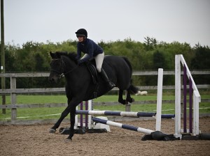 Ivesley Livery Festive Show Jumping 
