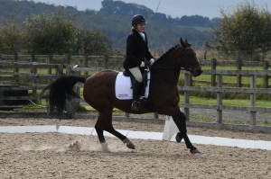 Dressage Competition
