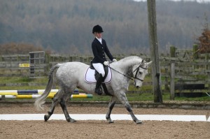 Dressage Competition