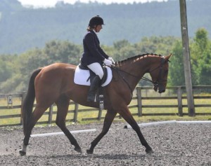 Dressage Competition